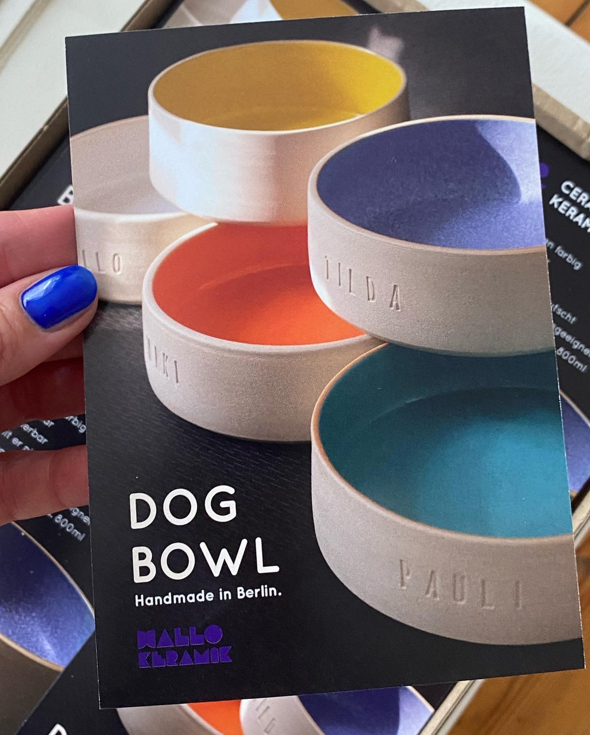 Dog/Cat Bowls
