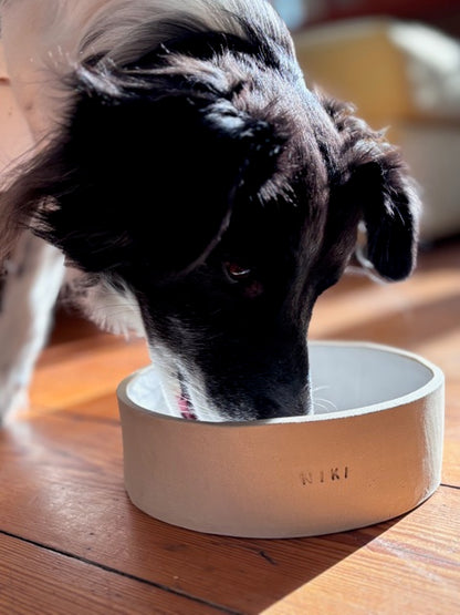 Dog Bowl Töpferkurs